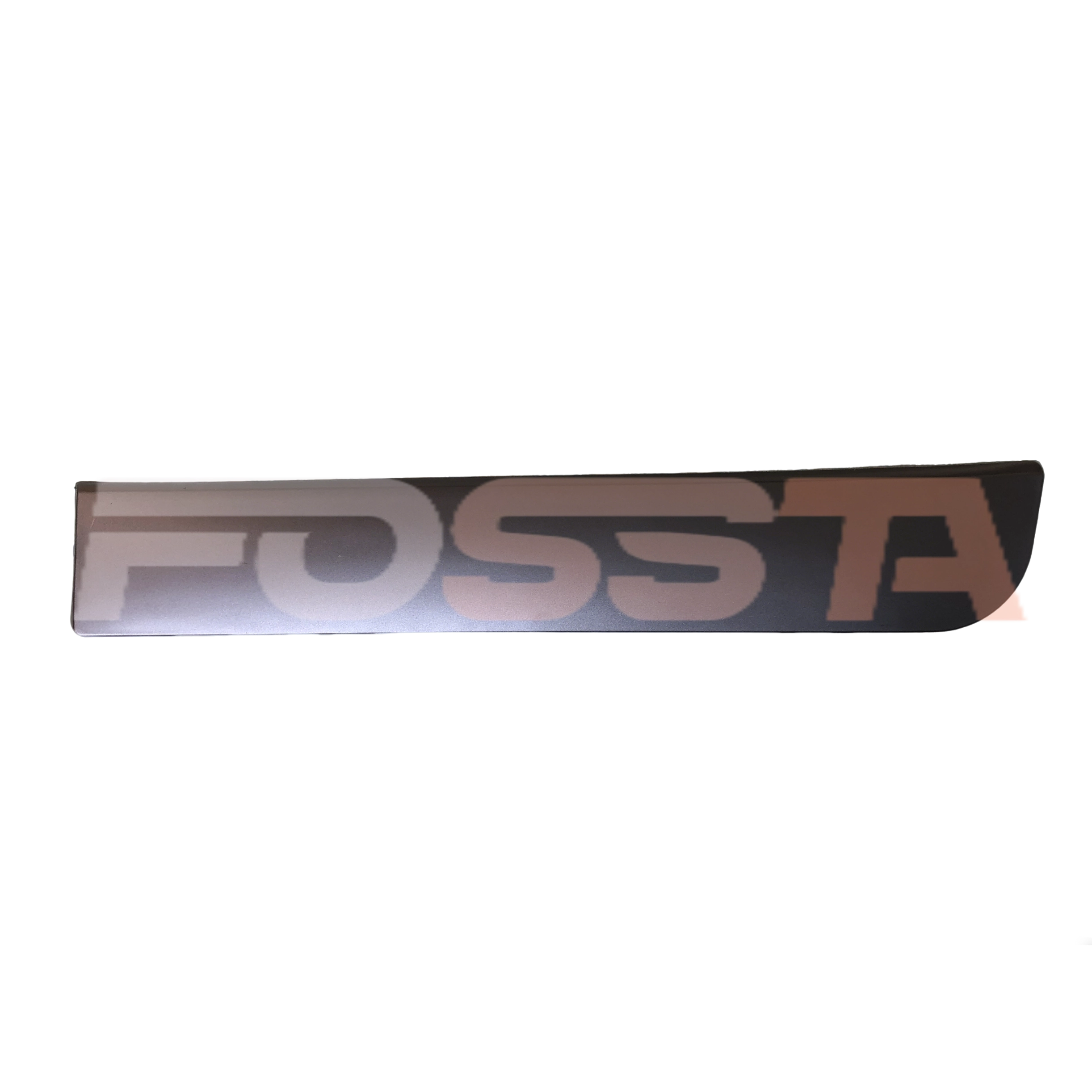 MOLDING,REAR DOOR L